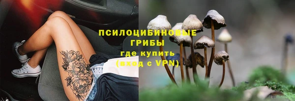 гидропоника Дмитриев