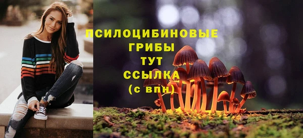 метадон Елабуга