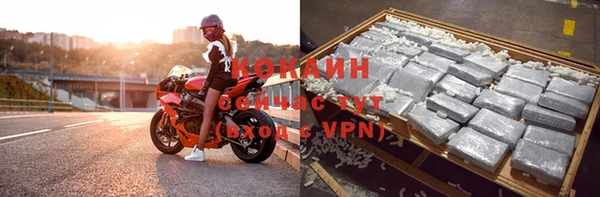 соль ск Елизово