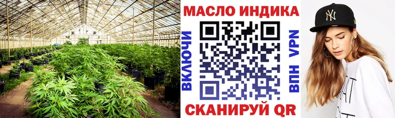 ТГК концентрат  Купить где  Закаменск 